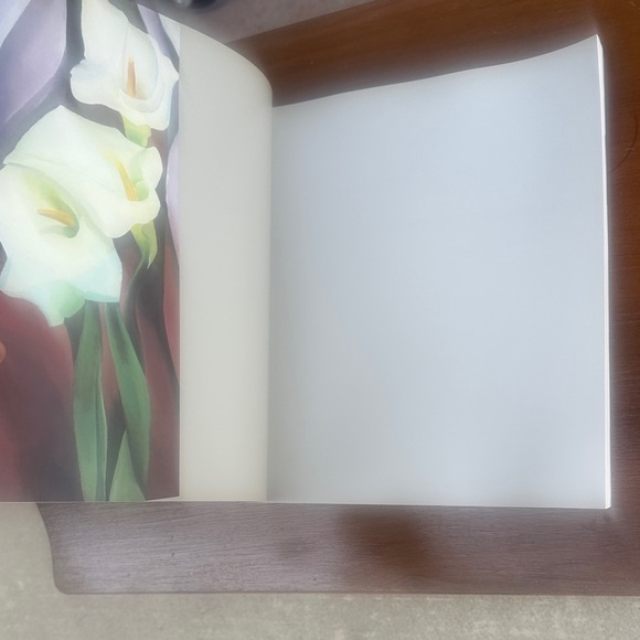Vintage Georgia O'Keeffe “one hundred flowers” Art Book - Picture 2 of 5